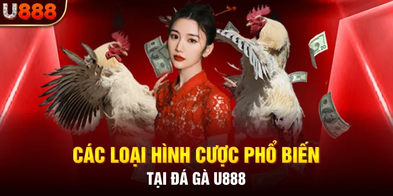 Các loại hình cược phổ biến tại đá gà U888