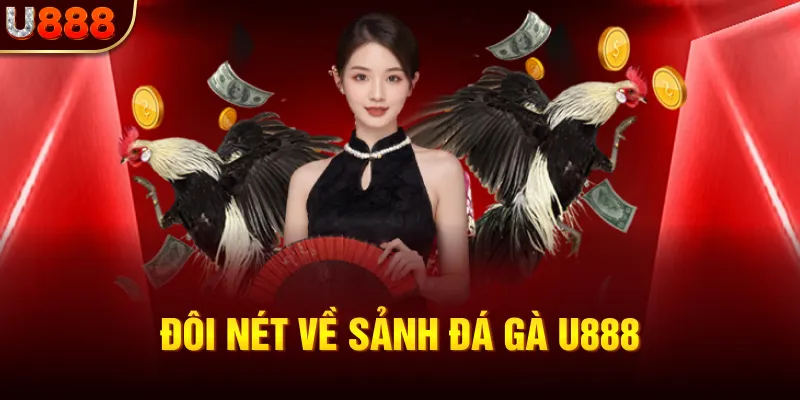 Đôi nét về sảnh đá gà U888