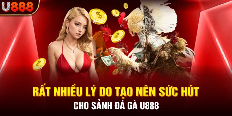 Rất nhiều lý do tạo nên sức hút cho sảnh đá gà U888