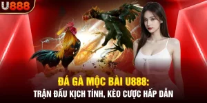 Đá gà mộc bài