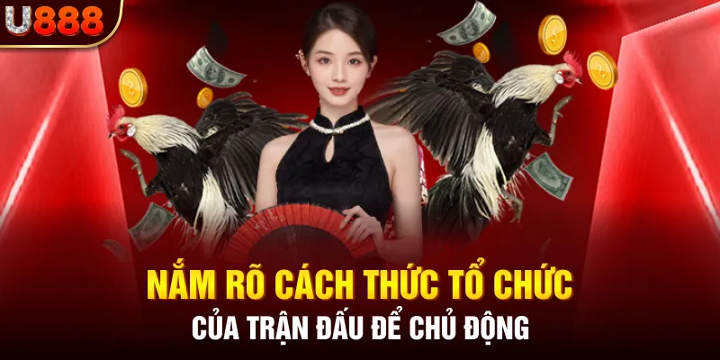 Nắm rõ cách thức tổ chức của trận đấu để chủ động