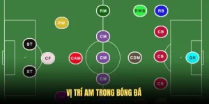 Vị trí AM trong bóng đá