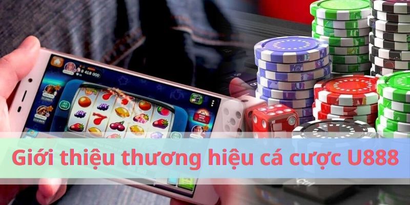 Sơ lược về thương hiệu cá cược đẳng cấp U888